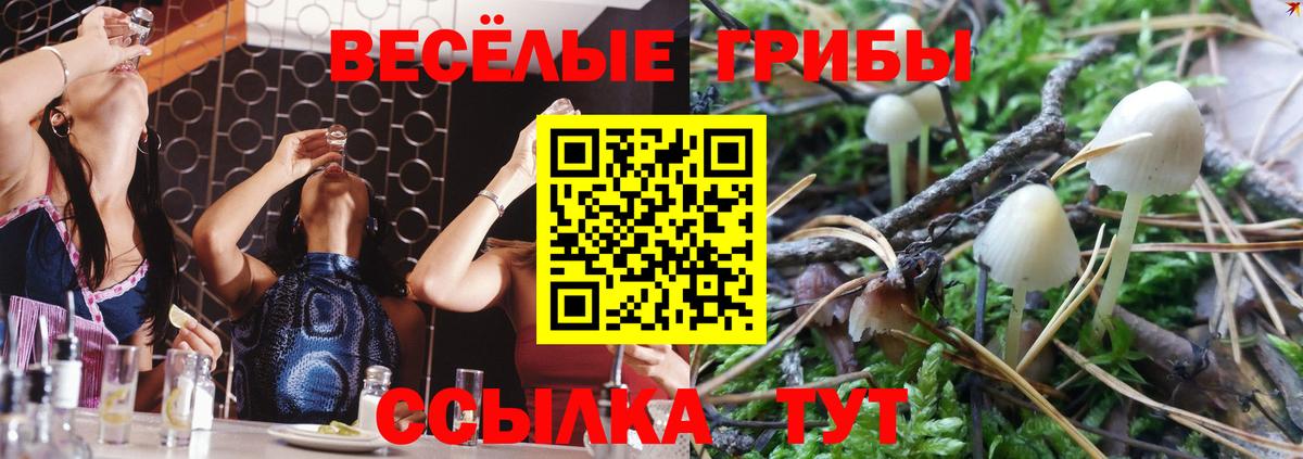 Родники  Псилоцибиновые грибы ЛСД  Вход с VPN 
