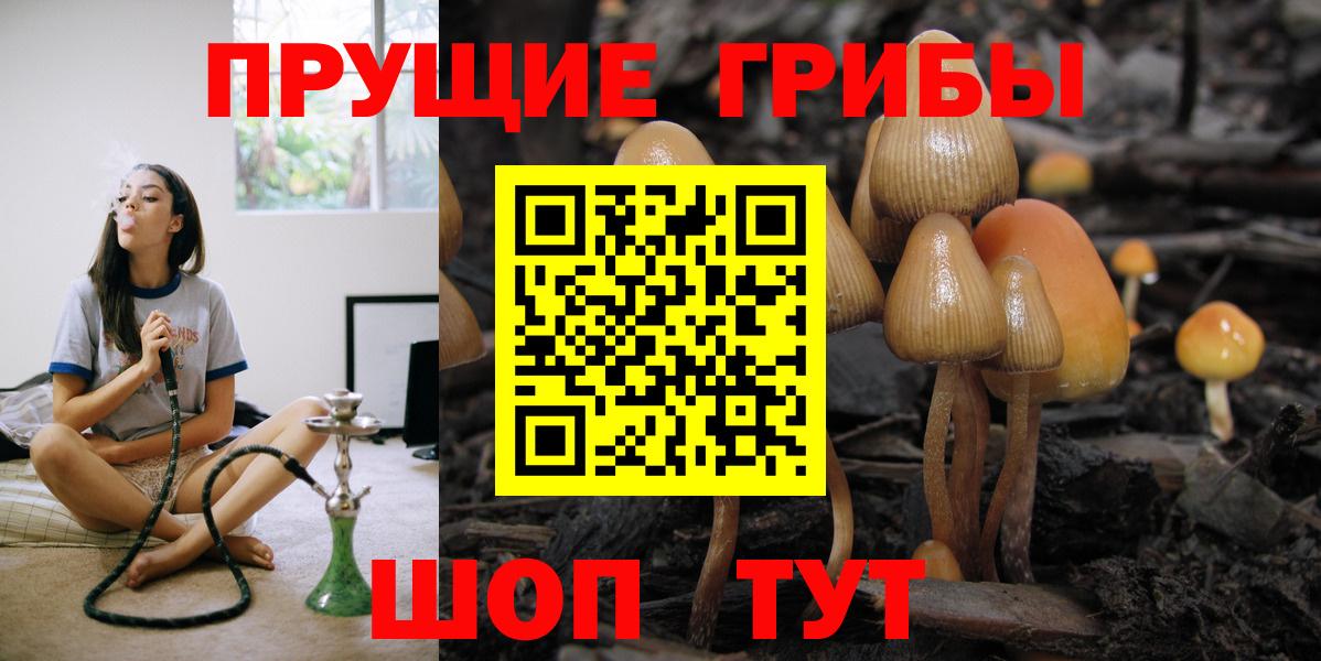 Псилоцибиновые грибы Psilocybine cubensis Родники
